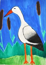 Kolesárová Viktória.jpg